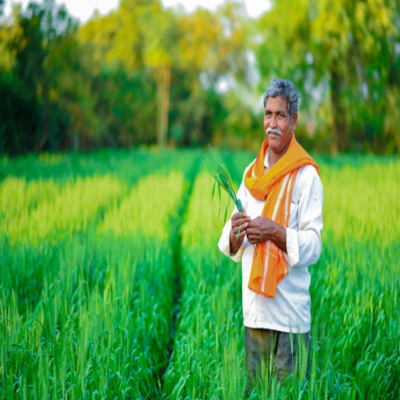 Farmer Review
