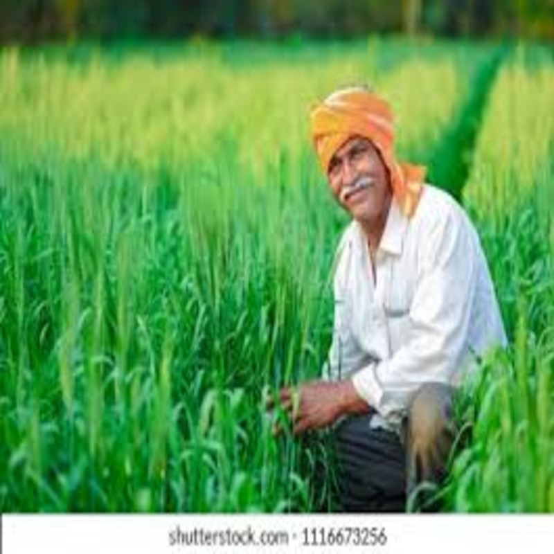 Farmer Review