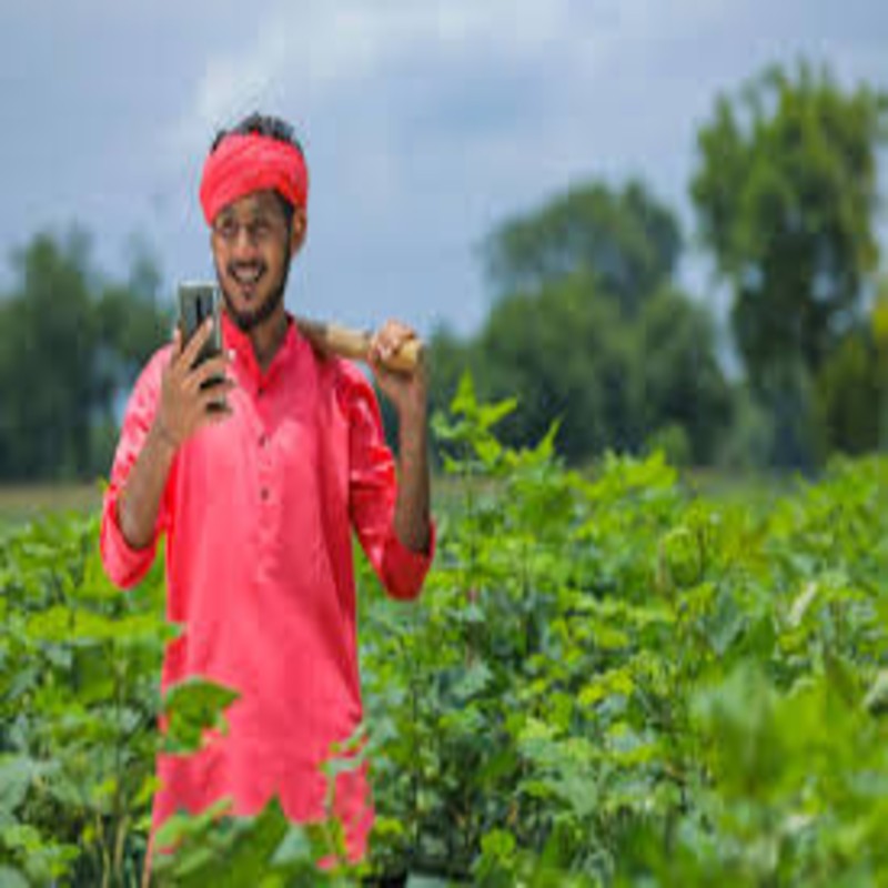 Farmer Review